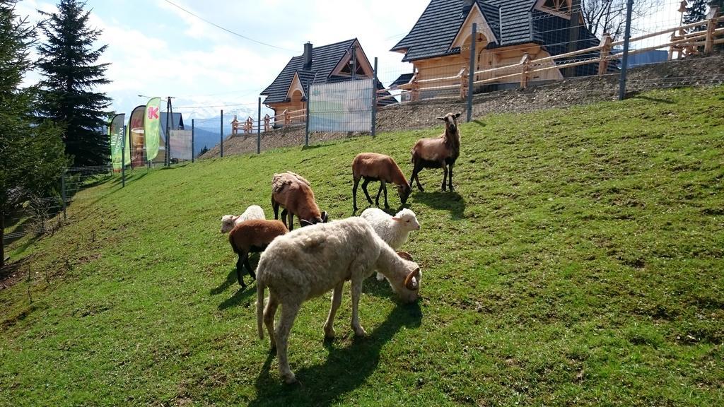 Willa Skorusyna Gliczarów Exteriér fotografie