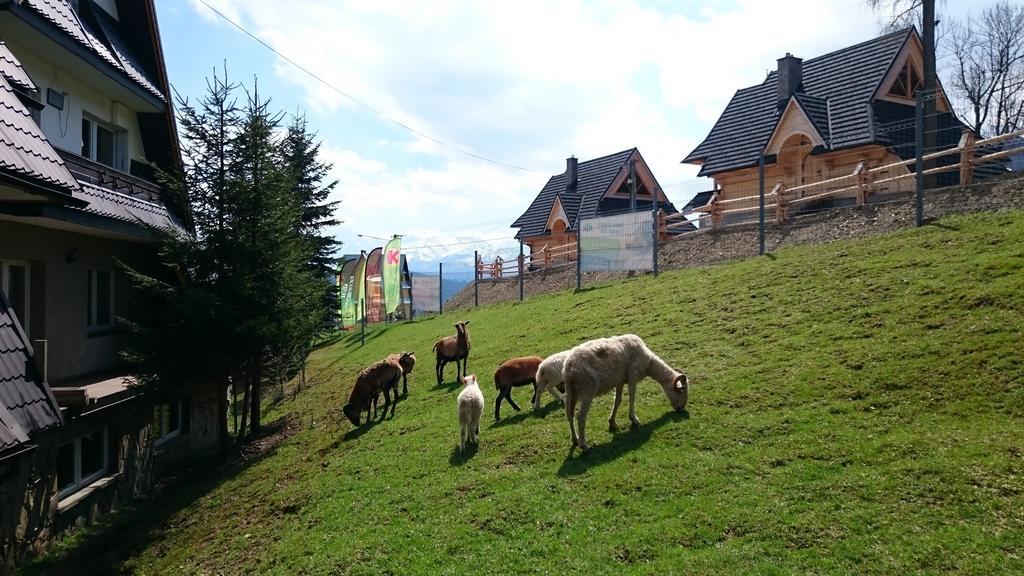 Willa Skorusyna Gliczarów Exteriér fotografie